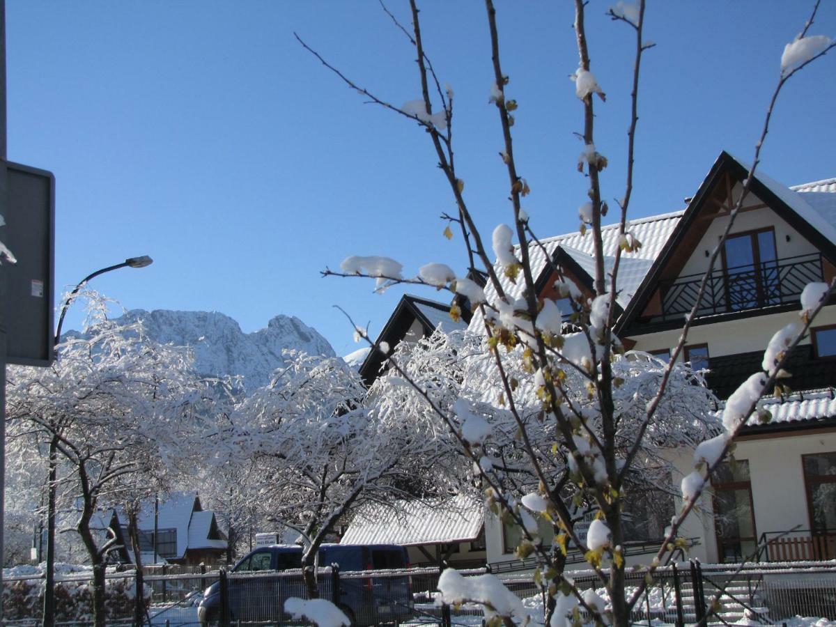 Przy Szlaku Zakopane Centrum Pokoje & Apartamenty Exterior foto